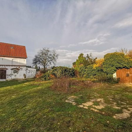 Apartment In Herrenhaus Gross Pinnow Exteriör bild