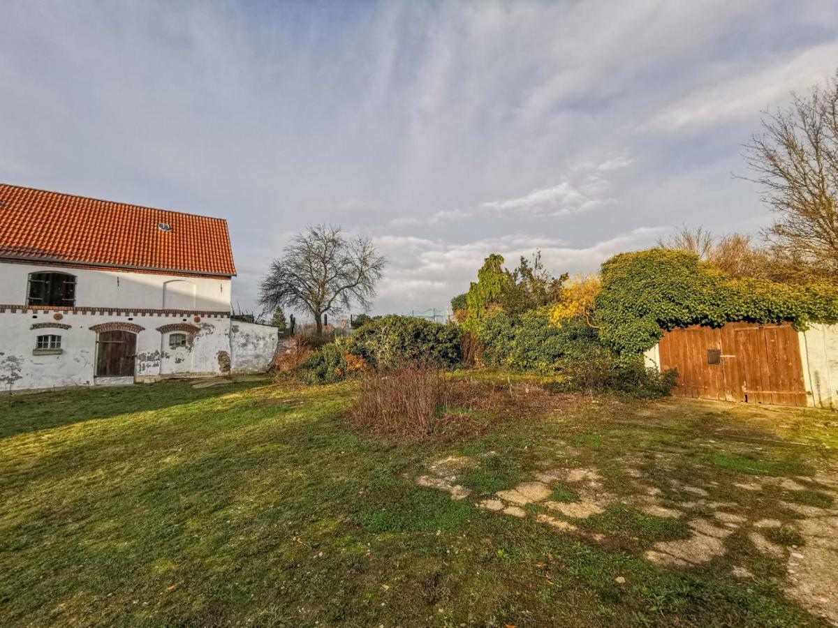 Apartment In Herrenhaus Gross Pinnow Exteriör bild